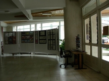 DSCN6806